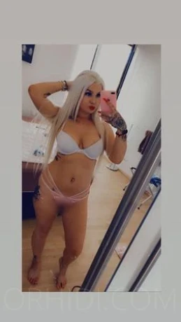 Jungdomina 27J.ComtesseLady Lola