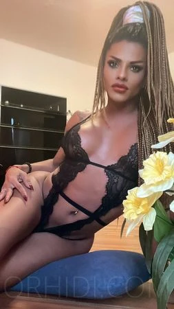 TS Vanessa