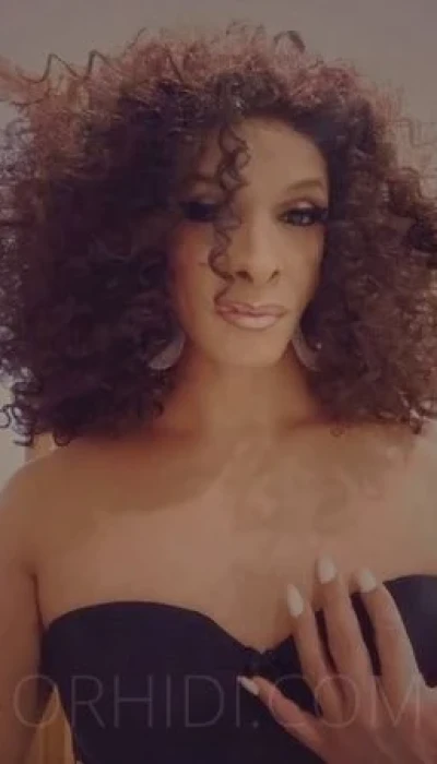 TRANS Luana
