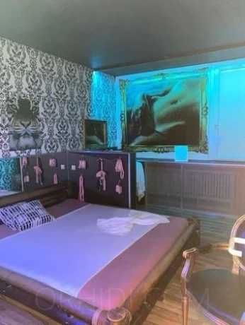 Eroscenter Crazy Jungle