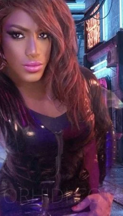 Brandneu TS Mistress Donatella