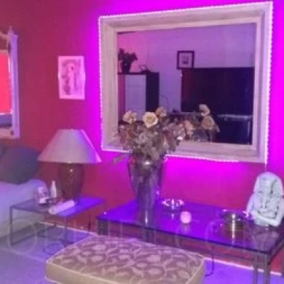 Haus Exotica