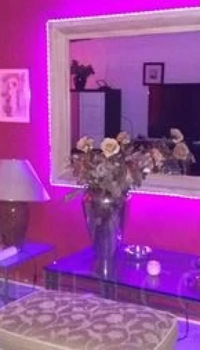 Haus Exotica