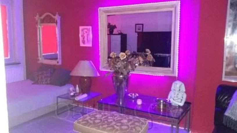 Haus Exotica