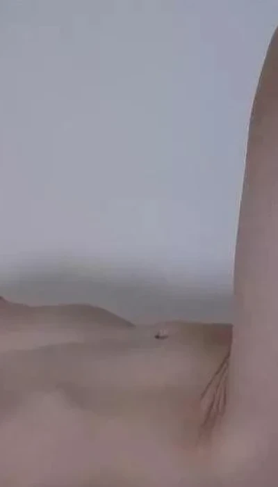 Lieve Vrouw Gezocht