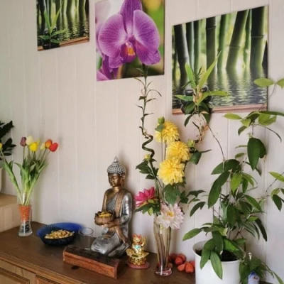 Thai Energie Massage Maressa