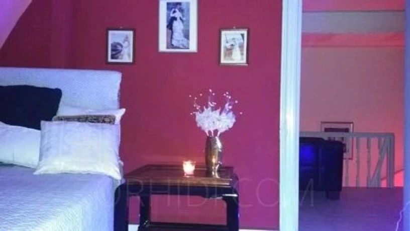 Haus Exotica