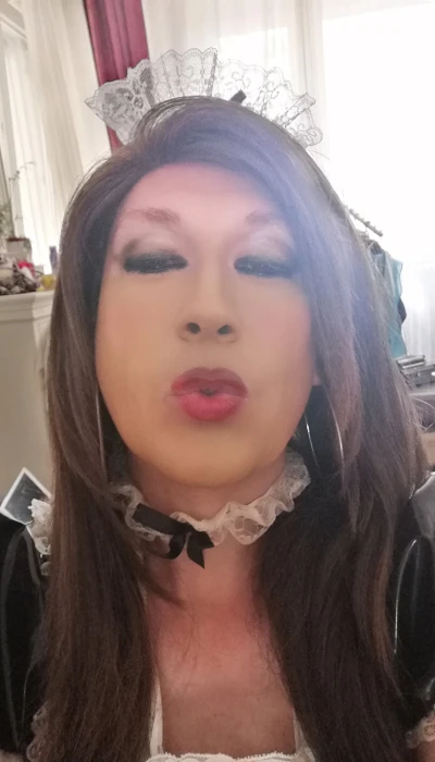 Trans Cat Deluxe