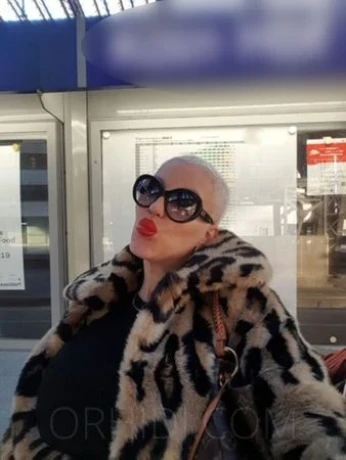 TRANS ANNA LATINA XXL! Nur bis Samstag Nacht