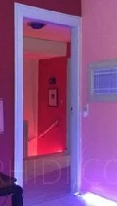 Haus Exotica
