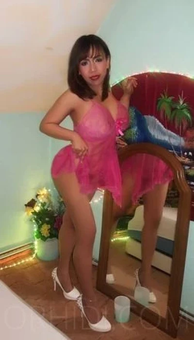 THAI ZIZI