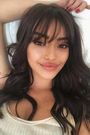 Ellenahotteen