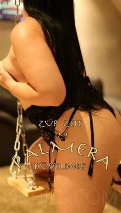 Aischa - The Exclusive Erotic Club Palmera