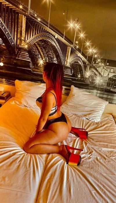 Bella Bei Mona Roses