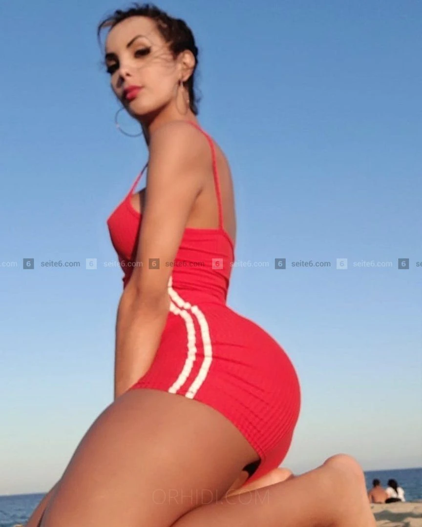 Trans Dulce