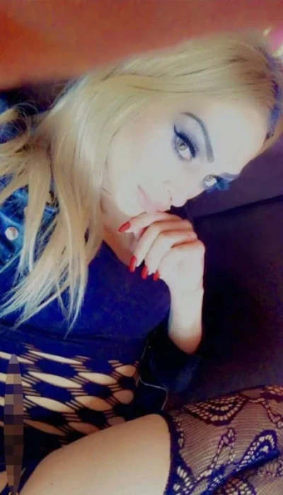 TS Teddy