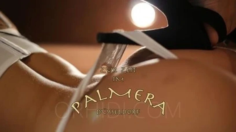 Ema - The Exclusive Erotic Club Palmera