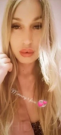 TS Jess - auch Domina Service!