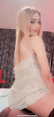 TS Teddy