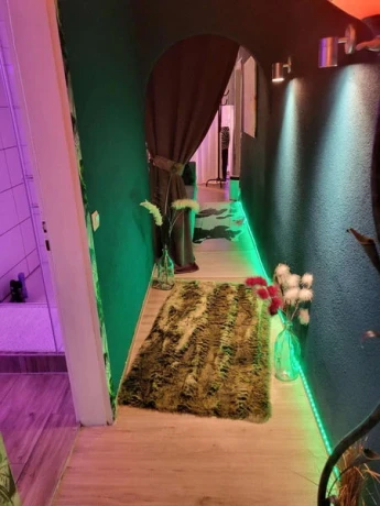 Erotik Massage Stripterasse Bei Oase