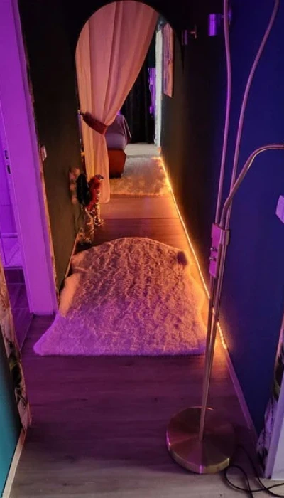 Erotik Massage Stripterasse Bei Oase