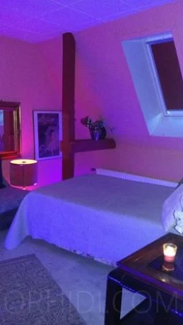 Haus Exotica