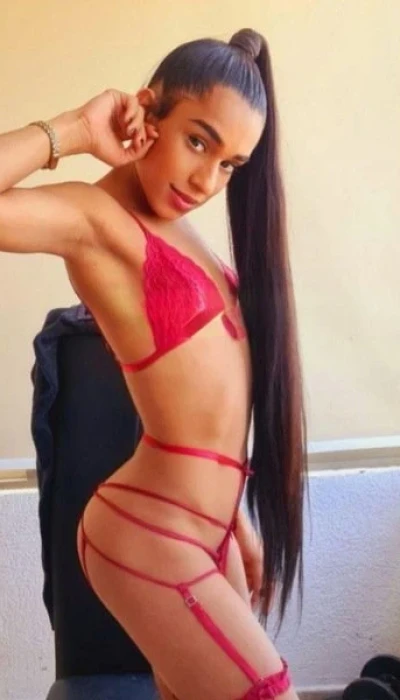 Ts Zara Antonella 20 Cm
