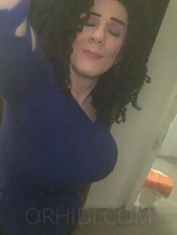 Trans Rio Van Lopez