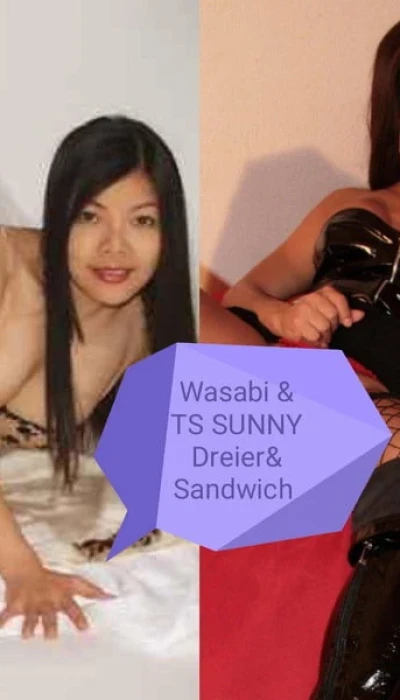 Wasabi X Tssunny Sandwich Hamburger Geld Zuruck Garantie