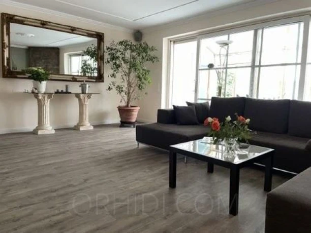 SALON - PATRICE